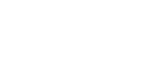 Evolution Gaming logo