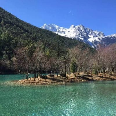 Rahim Pardesi avatar