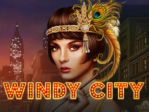 ونڈی سٹی game thumbnail